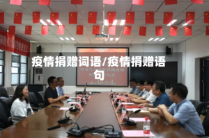 疫情捐赠词语/疫情捐赠语句