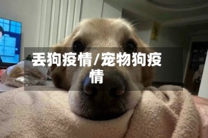 丢狗疫情/宠物狗疫情