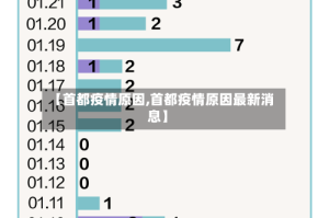 【首都疫情原因,首都疫情原因最新消息】