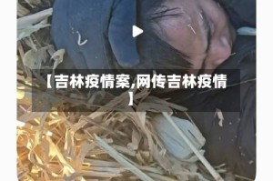 【吉林疫情案,网传吉林疫情】