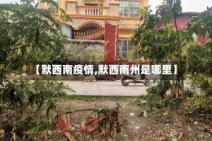 【默西南疫情,默西南州是哪里】
