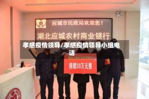 孝感疫情领导/孝感疫情领导小组电话