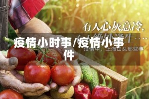 疫情小时事/疫情小事件
