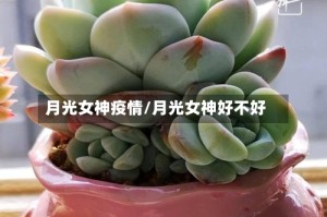 月光女神疫情/月光女神好不好