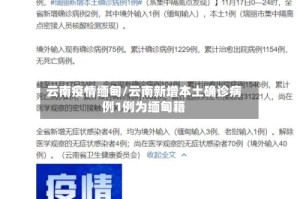 云南疫情缅甸/云南新增本土确诊病例1例为缅甸籍