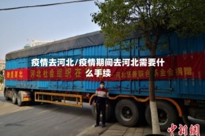 疫情去河北/疫情期间去河北需要什么手续