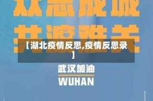 【湖北疫情反思,疫情反思录】