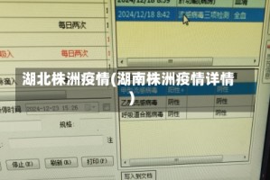 湖北株洲疫情(湖南株洲疫情详情)