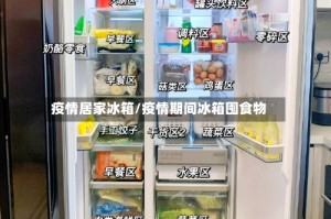 疫情居家冰箱/疫情期间冰箱囤食物