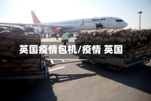 英国疫情包机/疫情 英国