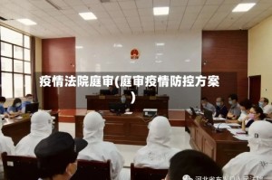 疫情法院庭审(庭审疫情防控方案)