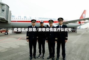 疫情机长致敬/致敬疫情医疗队机长