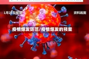 疫情爆发防范/疫情爆发的预案