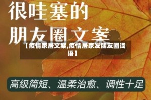 【疫情家居文案,疫情居家发朋友圈词语】