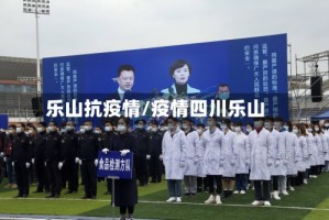 乐山抗疫情/疫情四川乐山