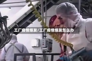 工厂疫情爆发/工厂疫情爆发怎么办