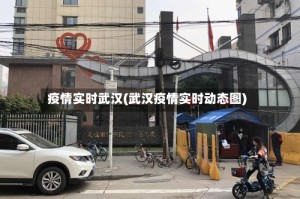 疫情实时武汉(武汉疫情实时动态图)
