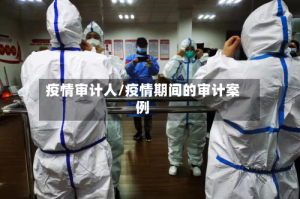 疫情审计人/疫情期间的审计案例