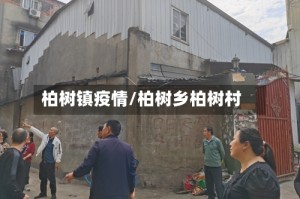 柏树镇疫情/柏树乡柏树村