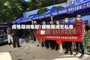 疫情期间奉献/疫情期间无私奉献
