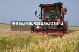 平邑柏林疫情/平邑县柏林镇村庄排名