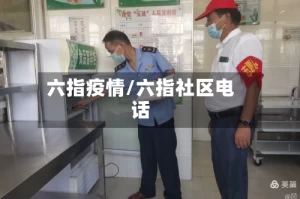 六指疫情/六指社区电话