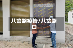 八岔路疫情/八岔路口