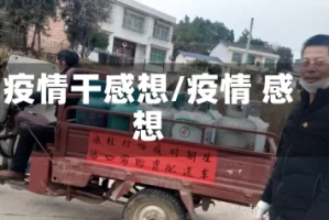 疫情干感想/疫情 感想