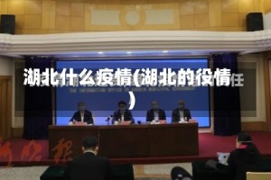 湖北什么疫情(湖北的役情)