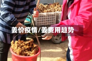 姜价疫情/姜费用趋势