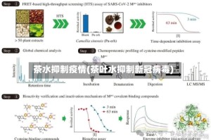 茶水抑制疫情(茶叶水抑制新冠病毒)