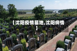【沈阳疫情墓地,沈阳病情】