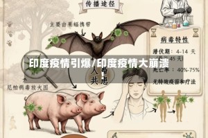 印度疫情引爆/印度疫情大崩溃!