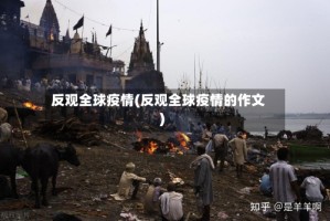 反观全球疫情(反观全球疫情的作文)