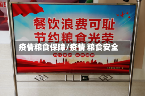 疫情粮食保障/疫情 粮食安全