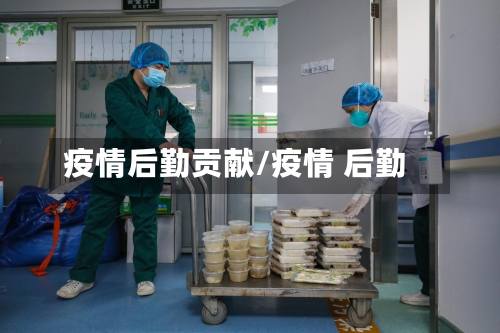 疫情后勤贡献/疫情 后勤-第1张图片