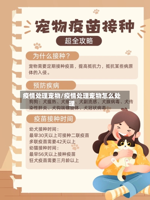 疫情处理宠物/疫情处理宠物怎么处理-第2张图片