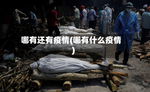 哪有还有疫情(哪有什么疫情)-第1张图片