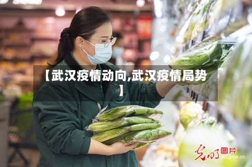 【武汉疫情动向,武汉疫情局势】-第2张图片