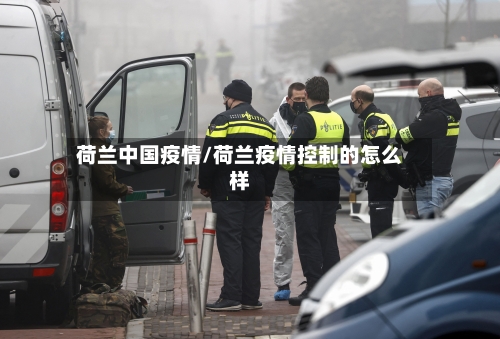 荷兰中国疫情/荷兰疫情控制的怎么样-第2张图片