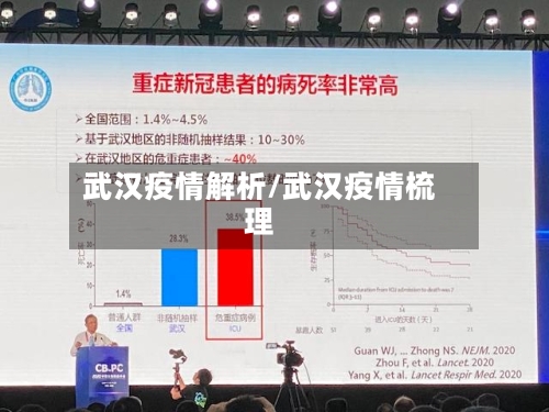 武汉疫情解析/武汉疫情梳理-第1张图片