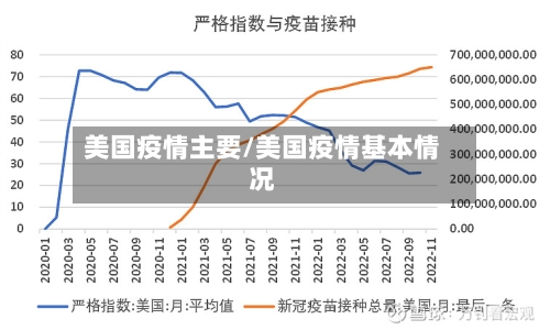 美国疫情主要/美国疫情基本情况-第1张图片