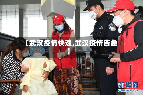 【武汉疫情快速,武汉疫情告急】-第2张图片
