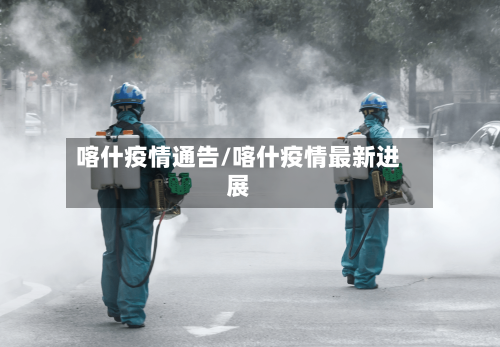 喀什疫情通告/喀什疫情最新进展-第3张图片