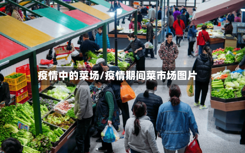 疫情中的菜场/疫情期间菜市场图片-第3张图片