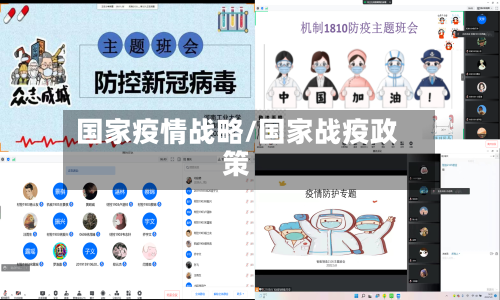 国家疫情战略/国家战疫政策-第3张图片