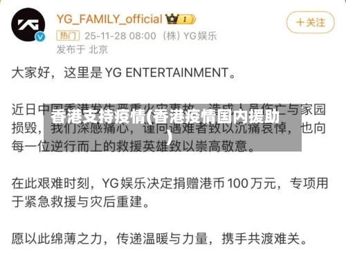 香港支持疫情(香港疫情国内援助)-第3张图片