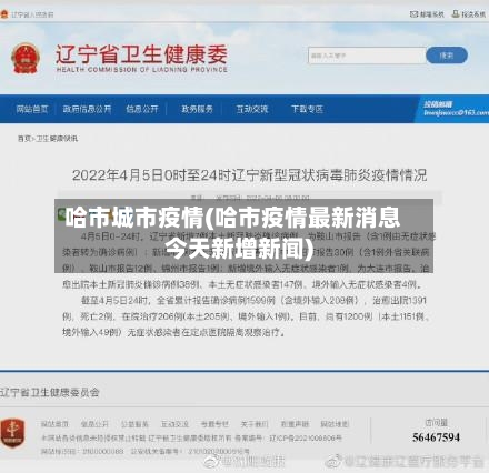 哈市城市疫情(哈市疫情最新消息今天新增新闻)-第3张图片