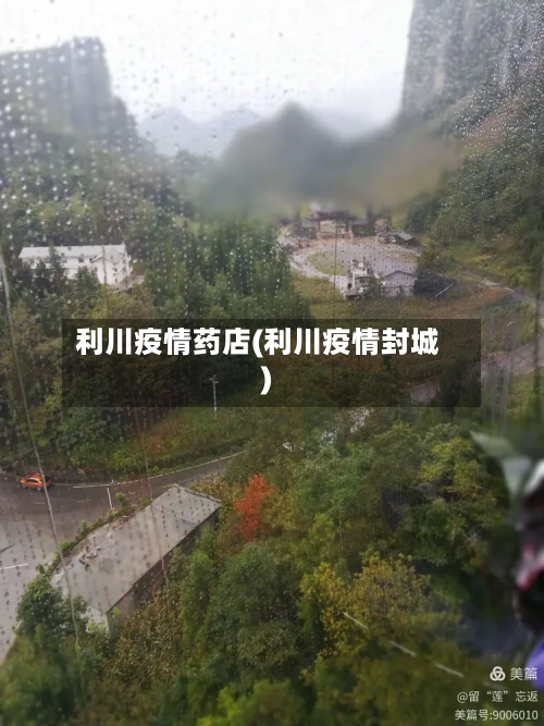 利川疫情药店(利川疫情封城)-第2张图片