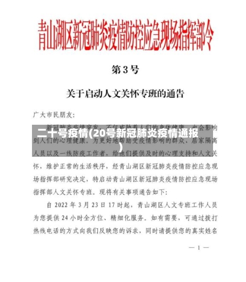 二十号疫情(20号新冠肺炎疫情通报)-第1张图片